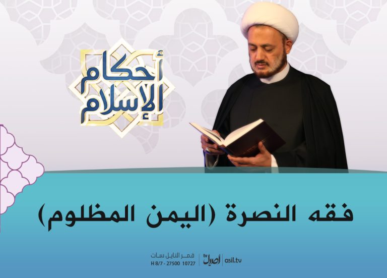 فقه النصرة